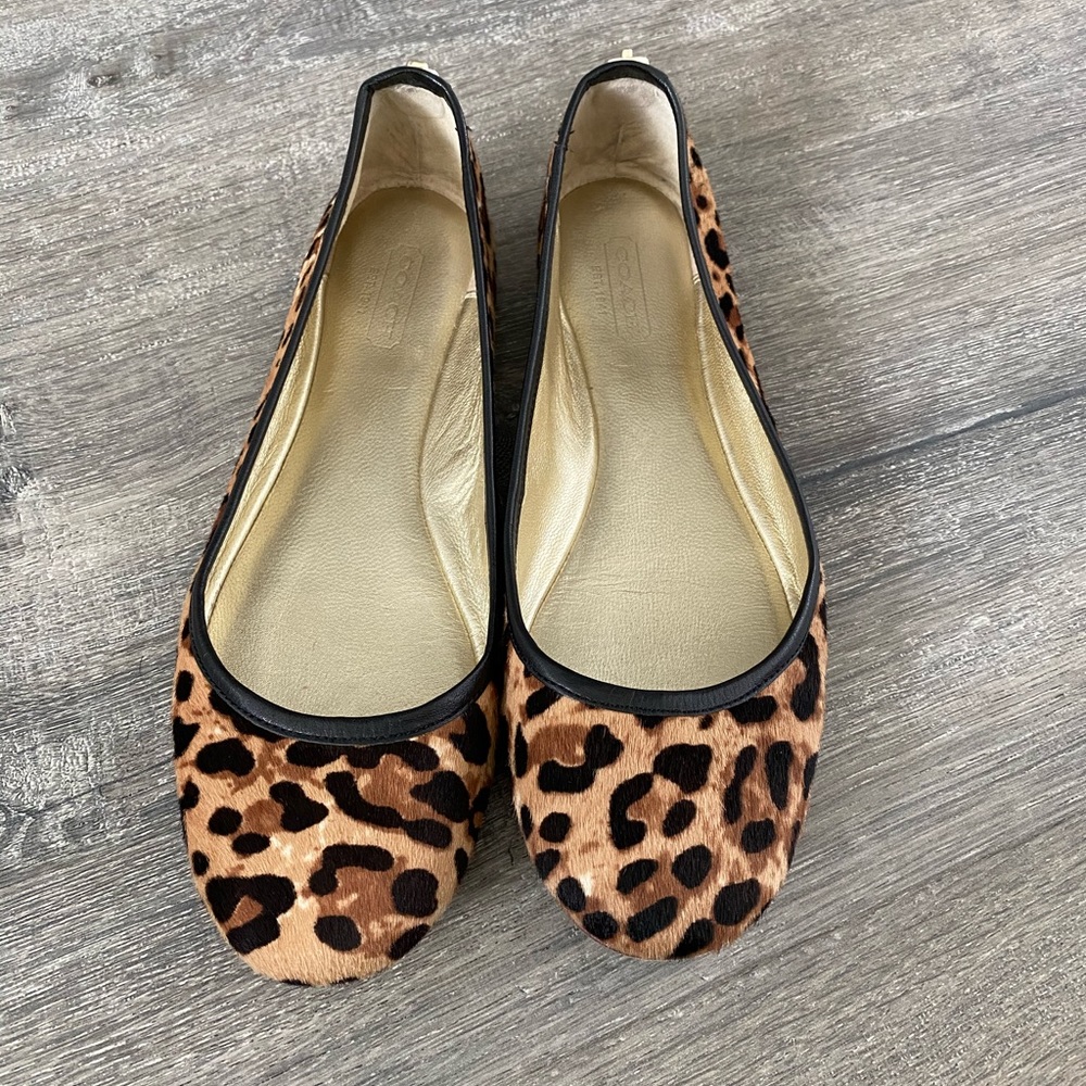 Great Condition Coach Leopard Ballet Flat